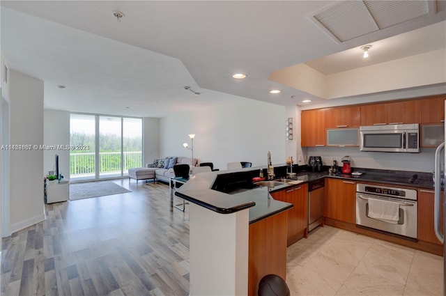 kitchen with light hardwood / wood-style floors, stainless steel appliances, expansive windows, kitchen peninsula, and sink