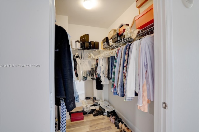 spacious closet featuring light hardwood / wood-style flooring