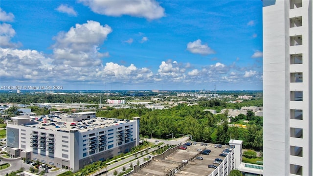 view of bird's eye view