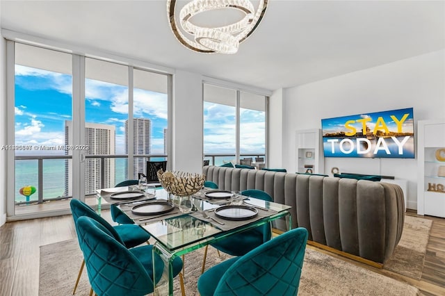 dining room featuring plenty of natural light, light hardwood / wood-style flooring, and a water view