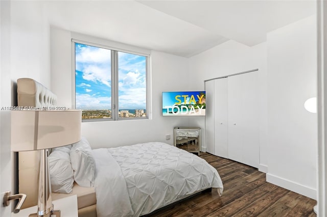 bedroom featuring a closet and dark wood-type flooring