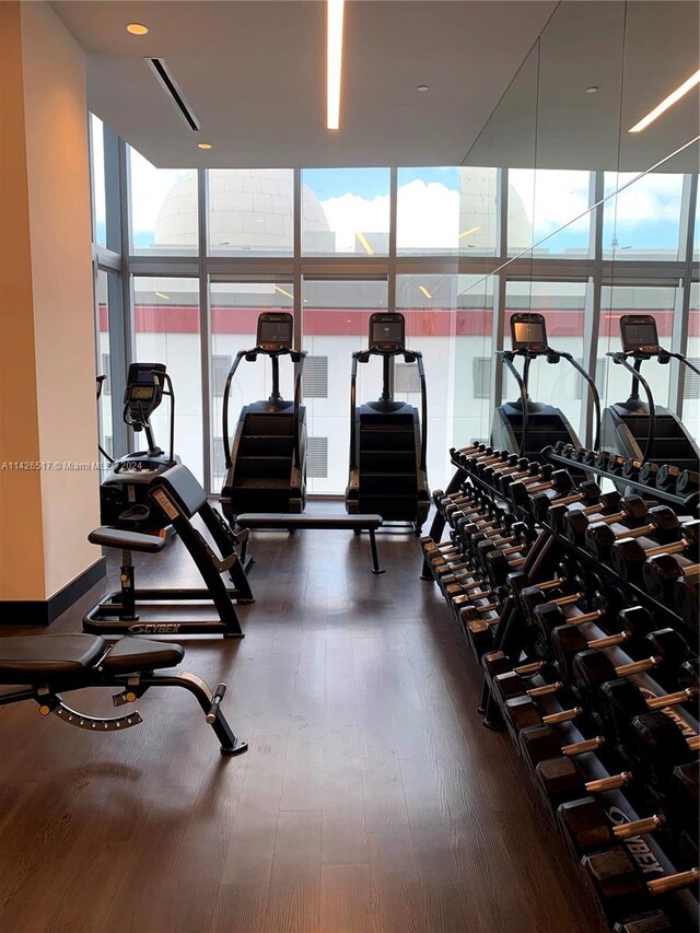 exercise room featuring dark hardwood / wood-style flooring and floor to ceiling windows