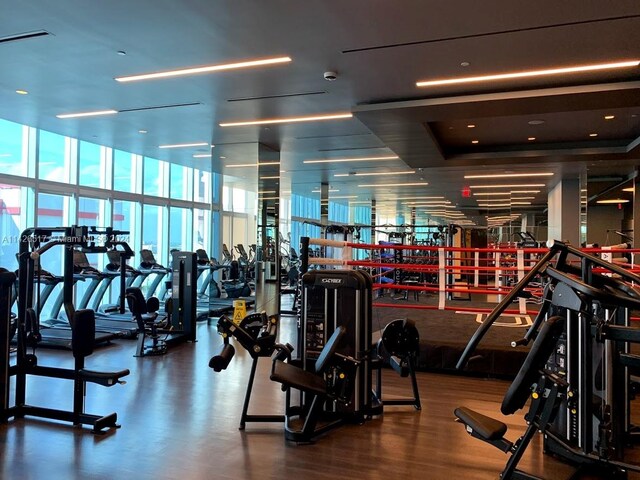 gym with wood-type flooring and floor to ceiling windows