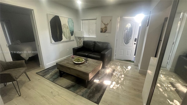 living room featuring light wood-type flooring