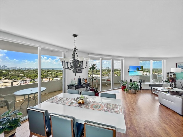 dining room with light hardwood / wood-style floors, a notable chandelier, and a wealth of natural light