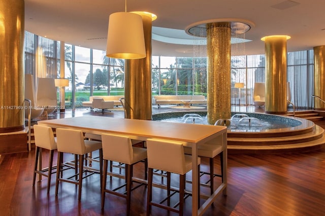 interior space featuring dark hardwood / wood-style floors and a wealth of natural light