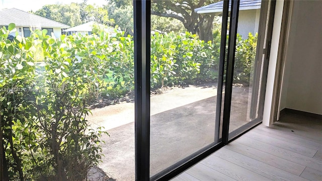 entryway with wood-type flooring and plenty of natural light