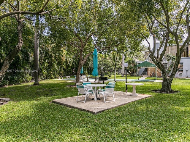 view of yard featuring a patio area