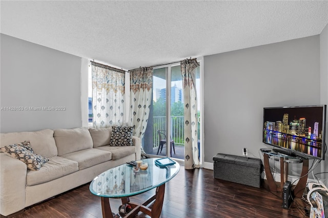 living room featuring a textured ceiling and dark wood-type flooring