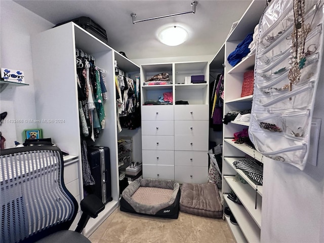 view of spacious closet