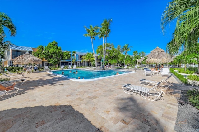 view of pool featuring a patio