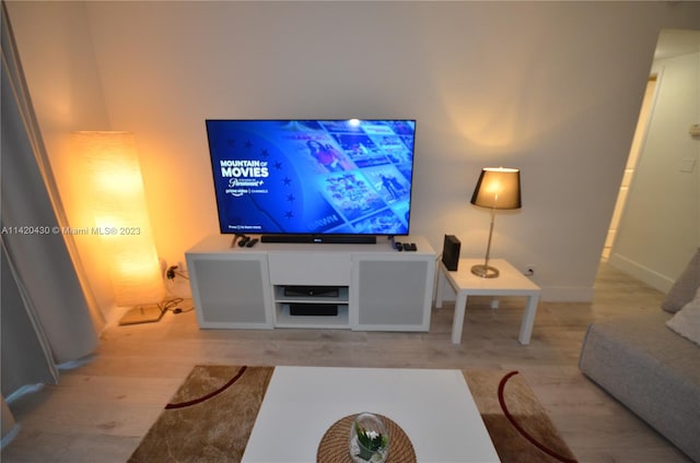 living room with light hardwood / wood-style flooring