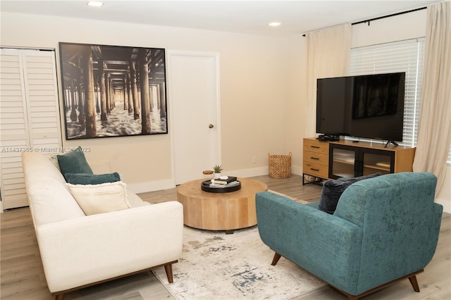 living room featuring light wood-type flooring