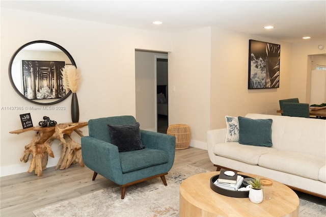 living room with light wood-type flooring