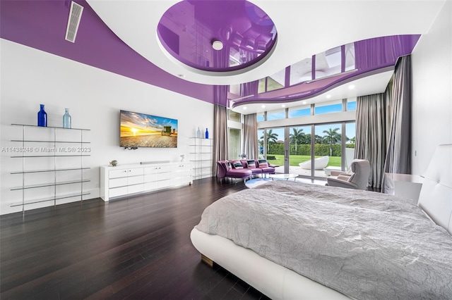 bedroom featuring a raised ceiling and dark wood-type flooring