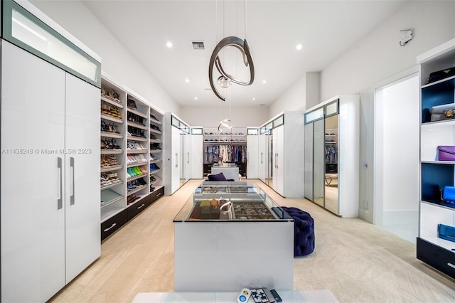 spacious closet with light carpet