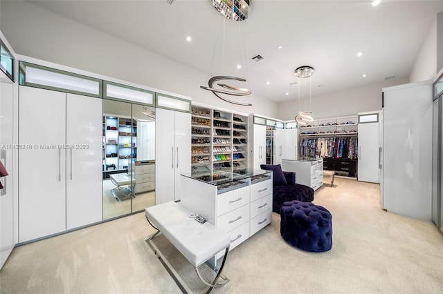 spacious closet with light carpet