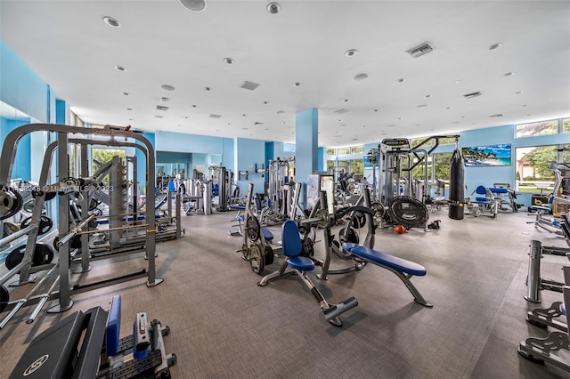 exercise room with a wealth of natural light