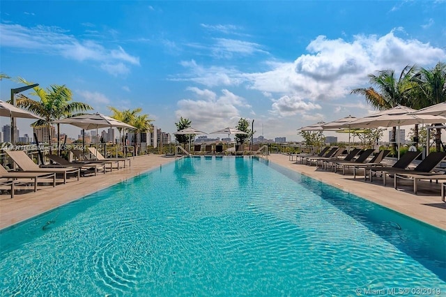 view of swimming pool featuring a patio area and a view of the beach