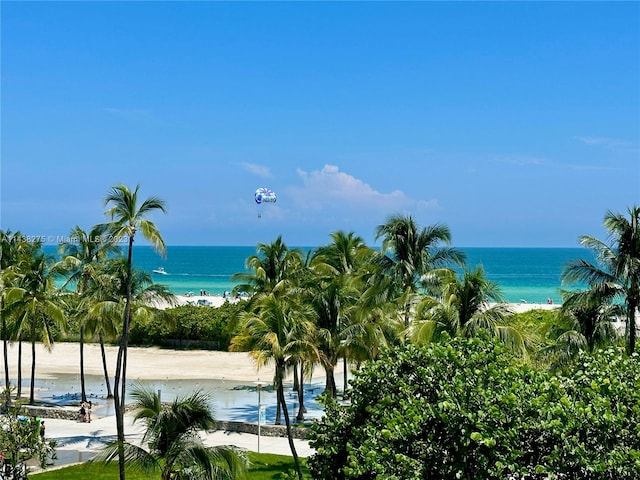 water view with a view of the beach