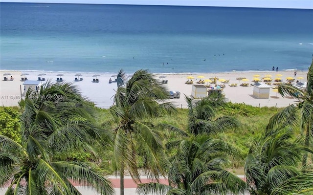 water view featuring a view of the beach