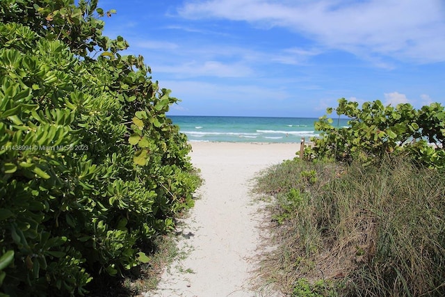 water view featuring a beach view