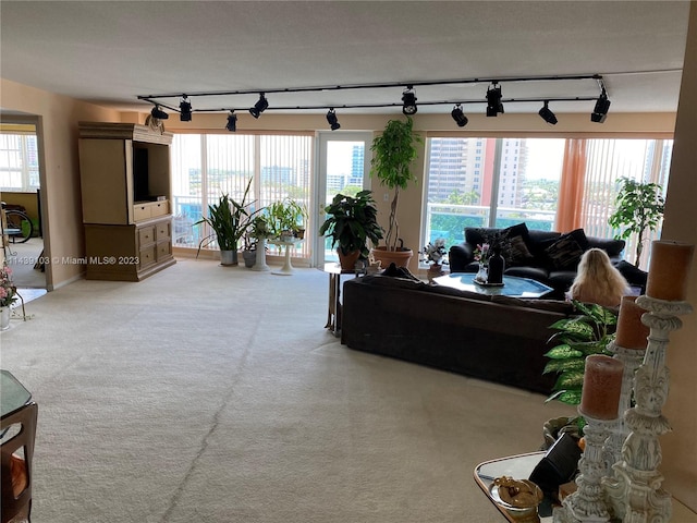 carpeted living room with rail lighting