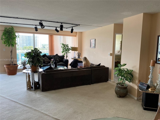 carpeted living room with track lighting and a textured ceiling