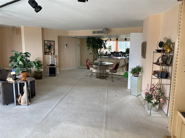 interior space with light colored carpet and a textured ceiling