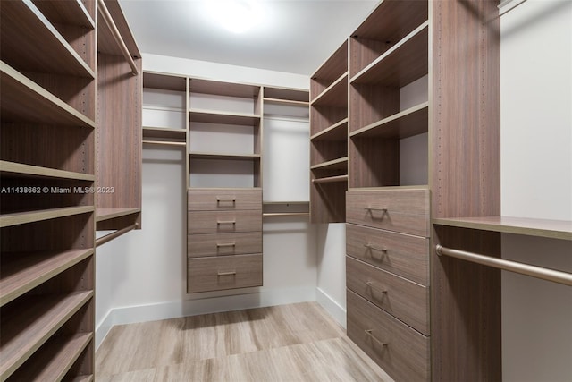 spacious closet featuring light hardwood / wood-style floors