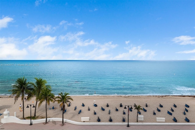 property view of water featuring a beach view