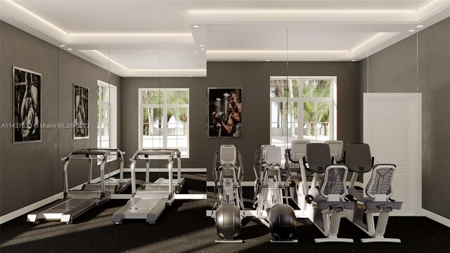 exercise room featuring a tray ceiling