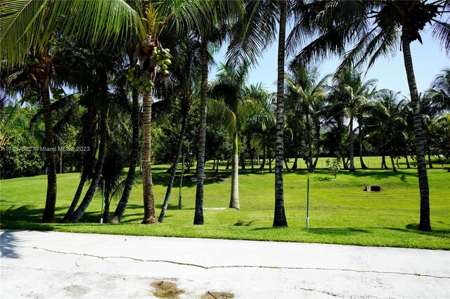 view of nearby features with a lawn