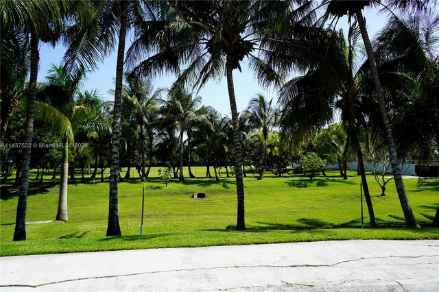 view of property's community with a yard