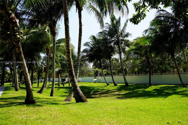 view of home's community with a lawn