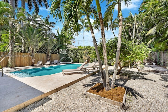 view of pool with a patio area