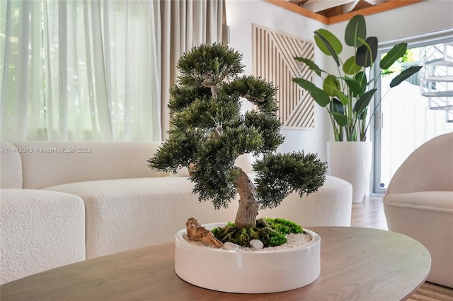 dining space with hardwood / wood-style flooring