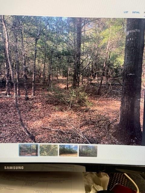 1 Bonita, Paxton-Darlington, FL 32433