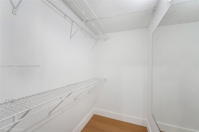 walk in closet featuring hardwood / wood-style floors