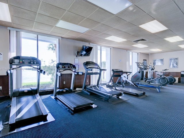 workout area with floor to ceiling windows, carpet, and a drop ceiling