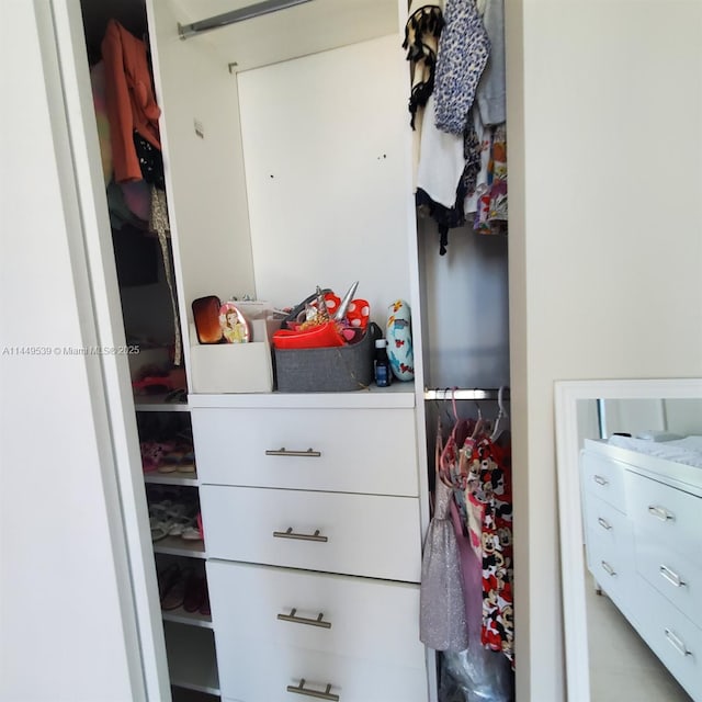 view of closet