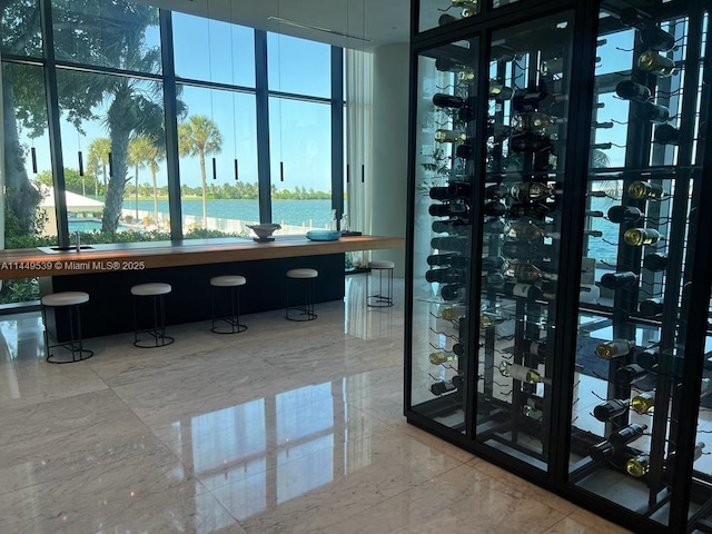 wine cellar with floor to ceiling windows