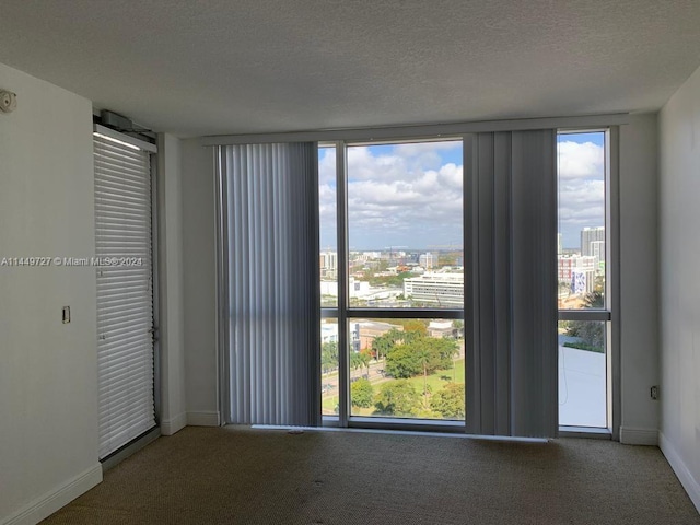 carpeted spare room with a textured ceiling