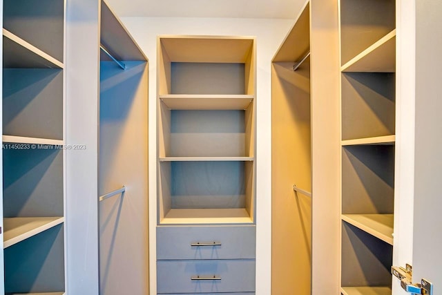 view of walk in closet