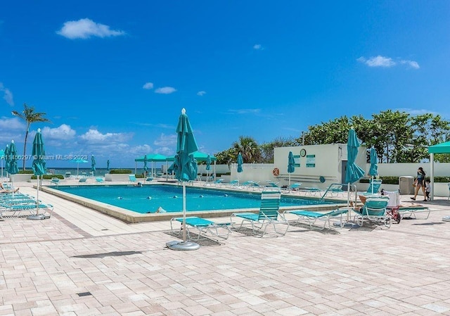 view of pool featuring a patio