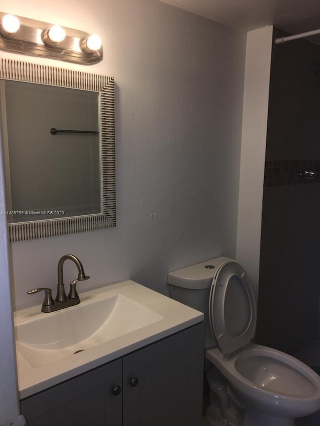 bathroom with toilet and vanity