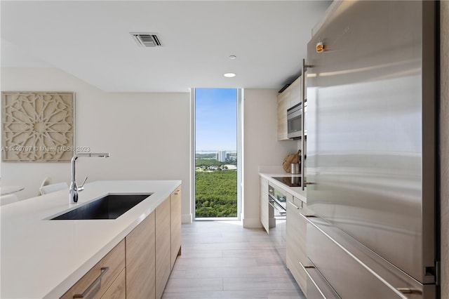 kitchen with light hardwood / wood-style floors, stainless steel appliances, expansive windows, and sink