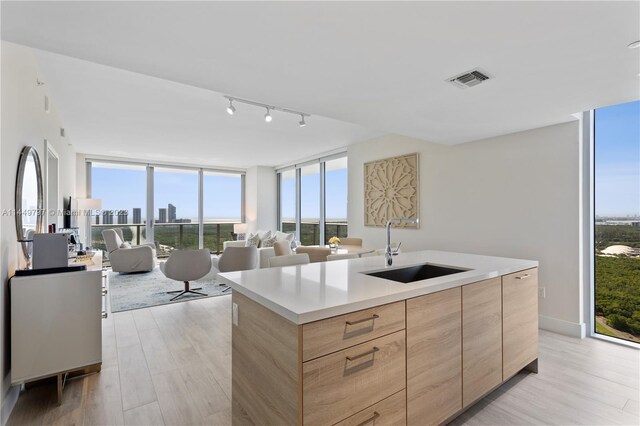 kitchen with an island with sink, light hardwood / wood-style flooring, sink, and track lighting