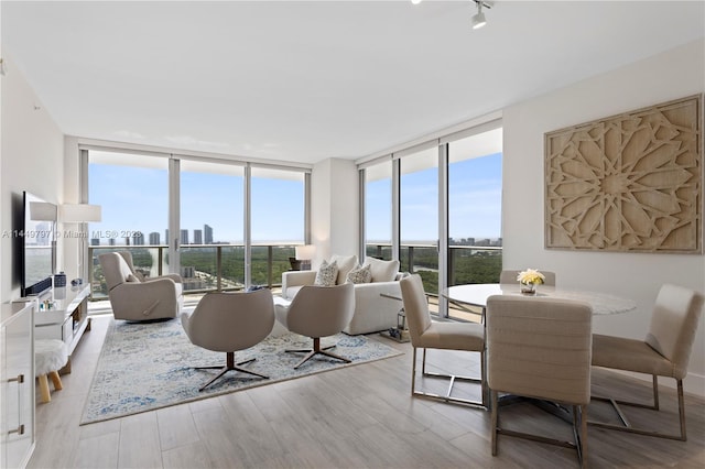 living room featuring light hardwood / wood-style floors, a healthy amount of sunlight, and expansive windows