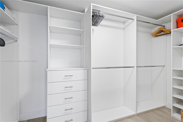 walk in closet featuring light hardwood / wood-style flooring